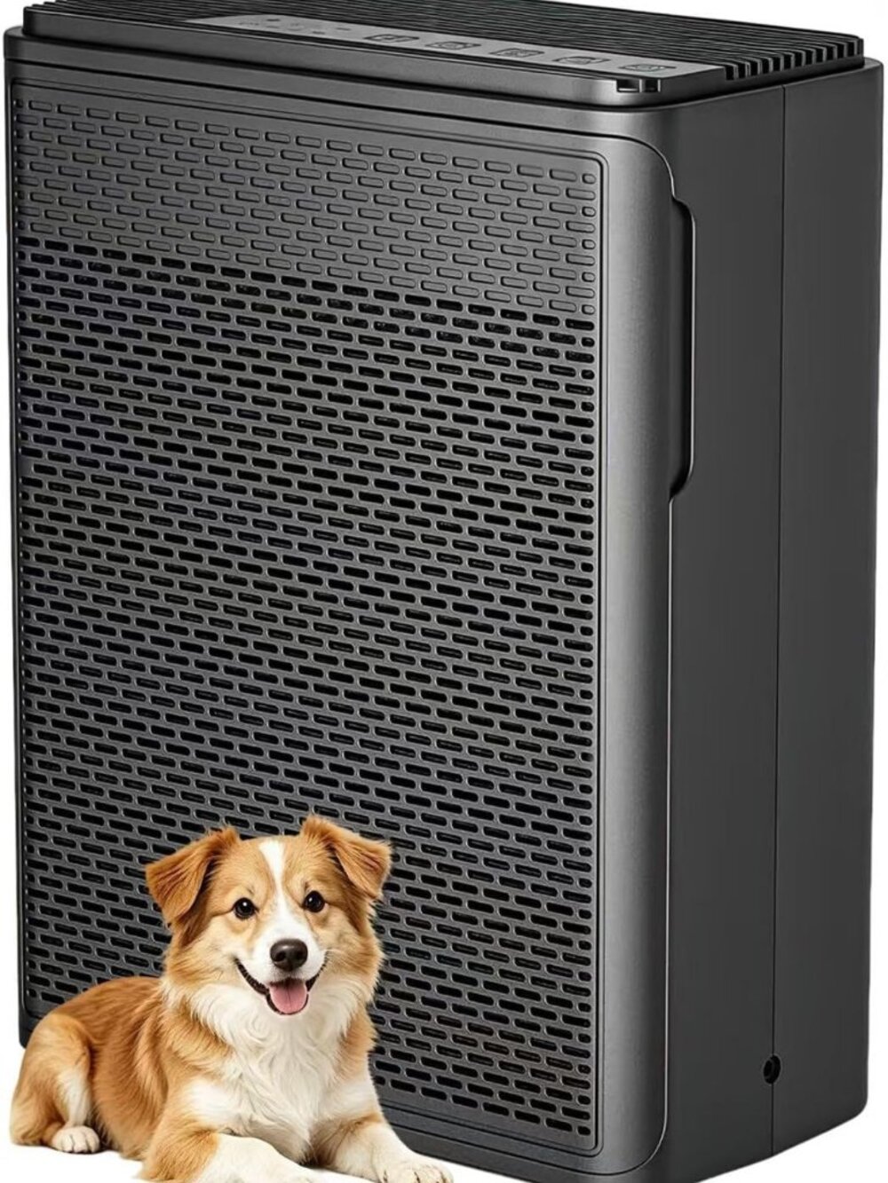 Powerful Air Purifier for Home & Pets, H13 HEPA Filter, Quiet 22 dB, 1500 Sq Ft